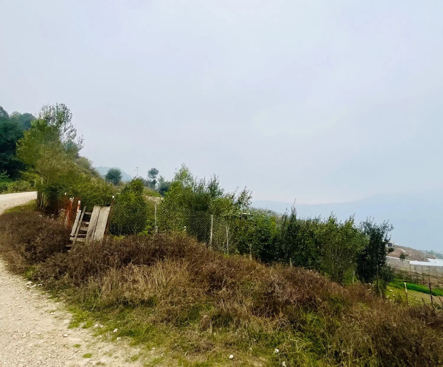 زمین‌‌