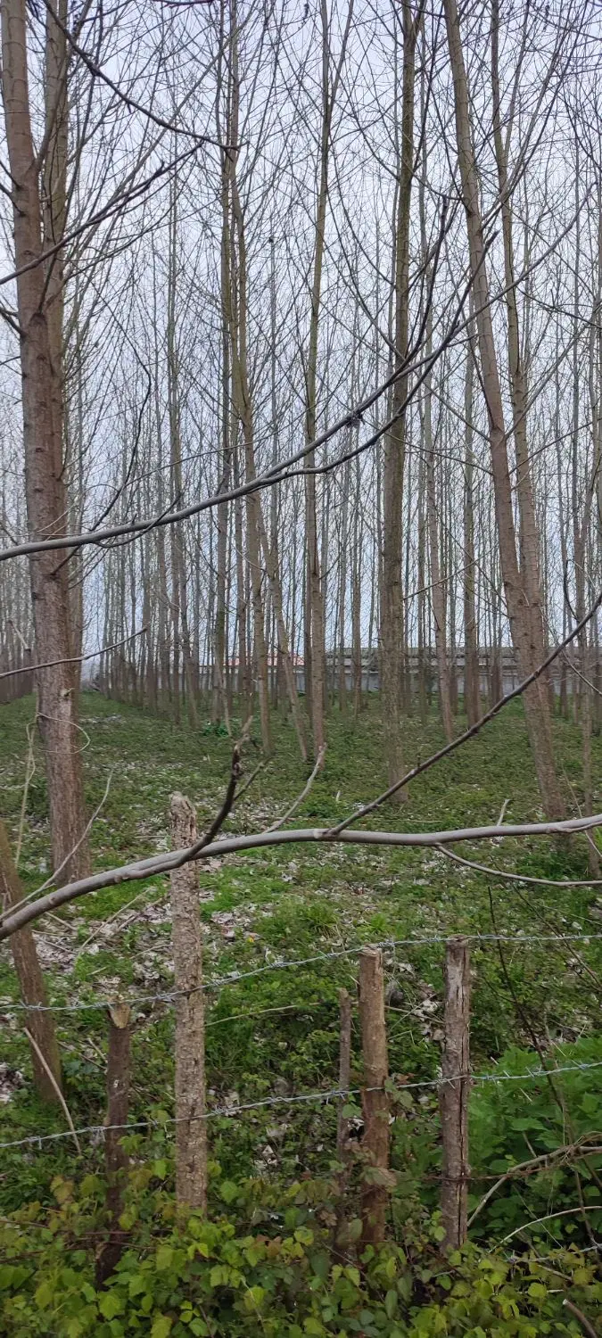 زمین۲۰۰۰متری برای معاوضه