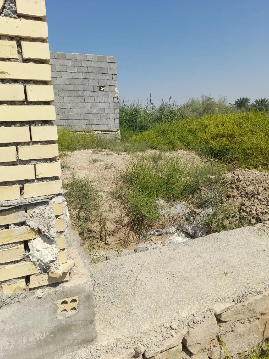 خروسی شمالی