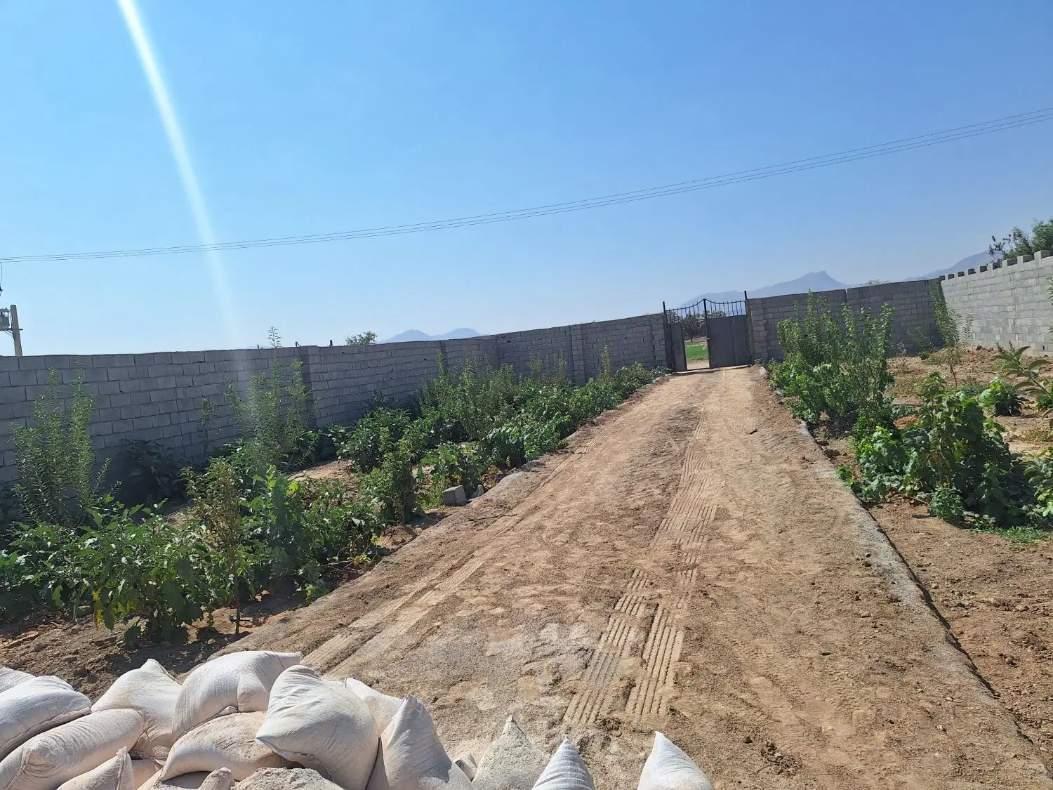 فروش باغ و ویلا