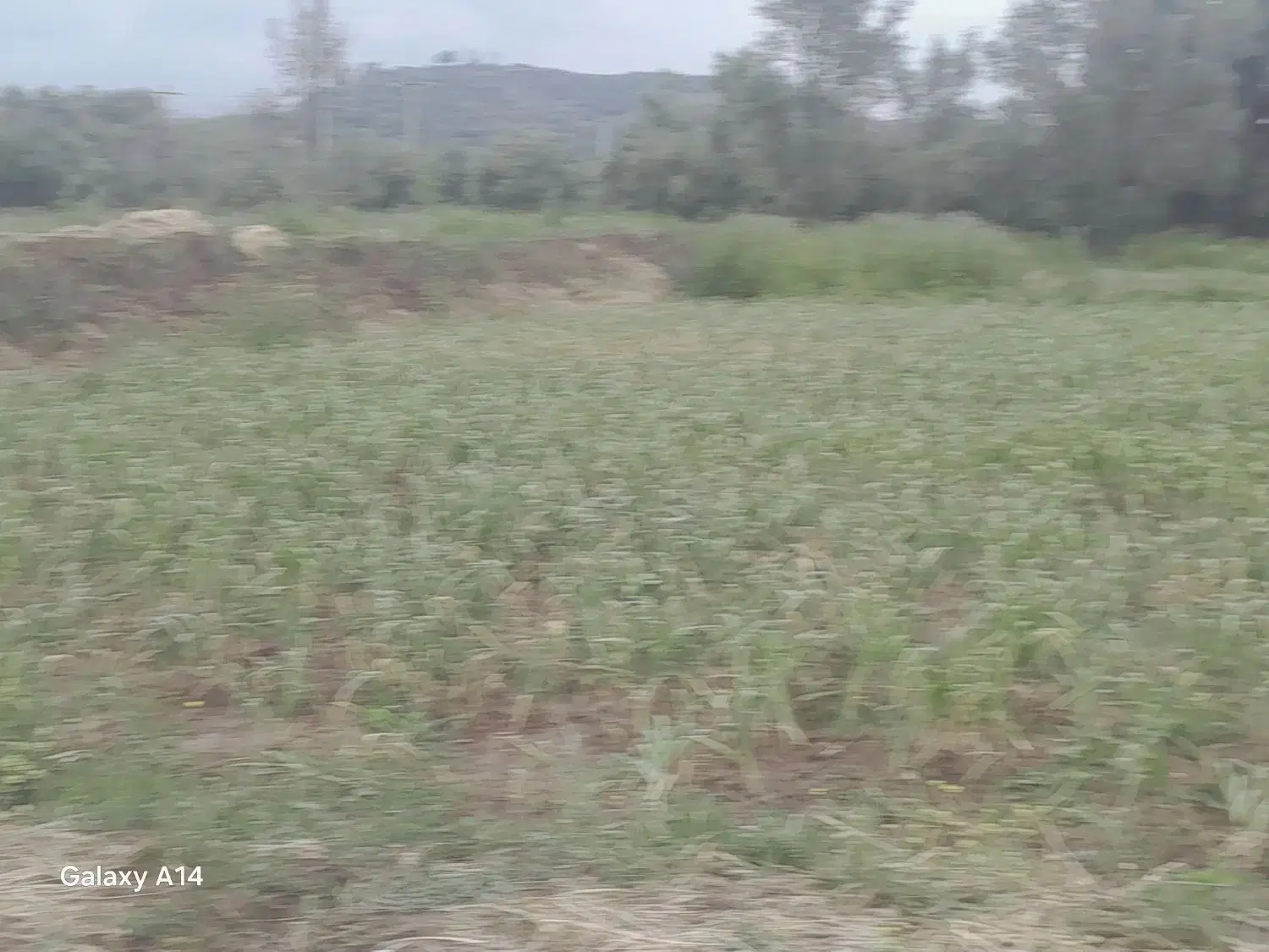 فروش زمین کشاورزی به متراژ۱۸۰۰متر.و۸۰۰مترهم