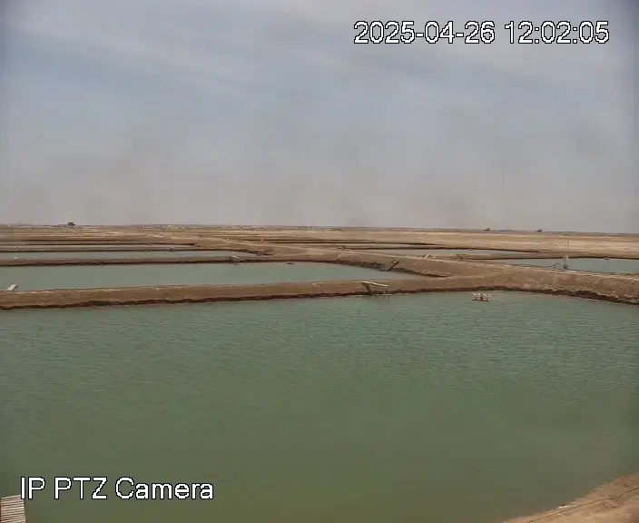 فروش پرورش میگو۲۰ هکتار