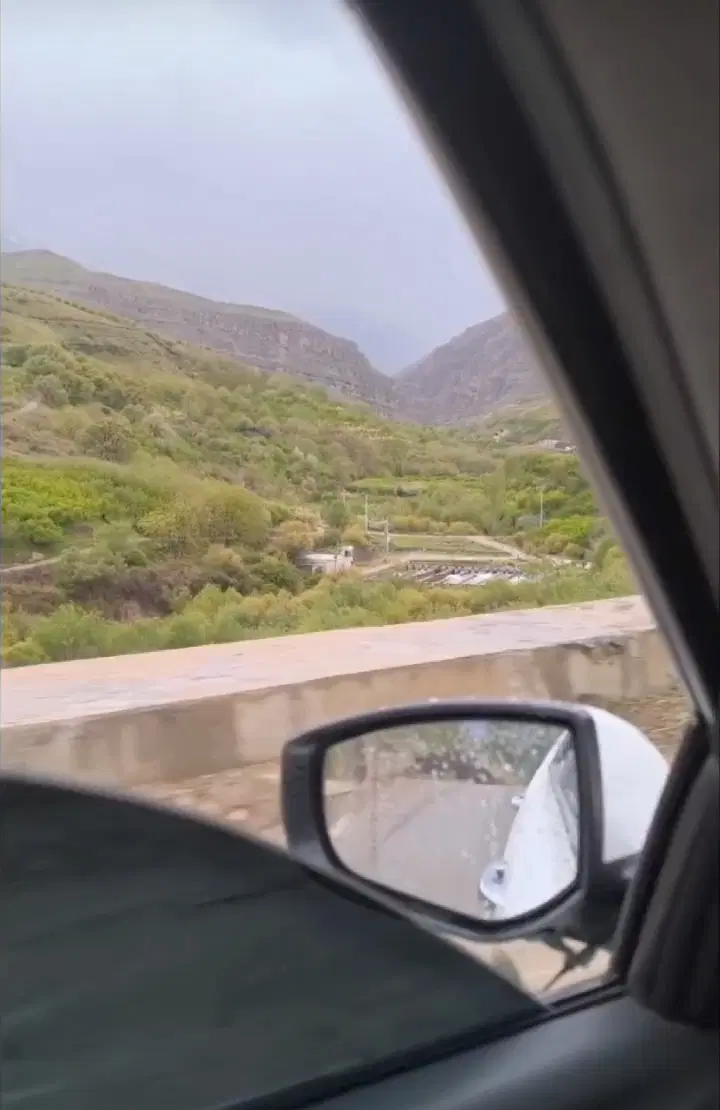 باغ زیر ثمر