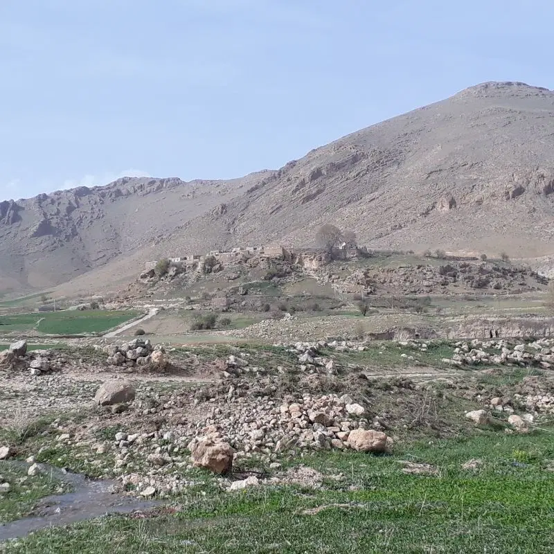 اجاره شش هکتار زمین آبی کشاورزی