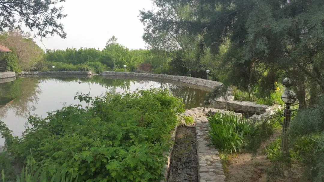 باغ ویلا.کردان.کوهسار