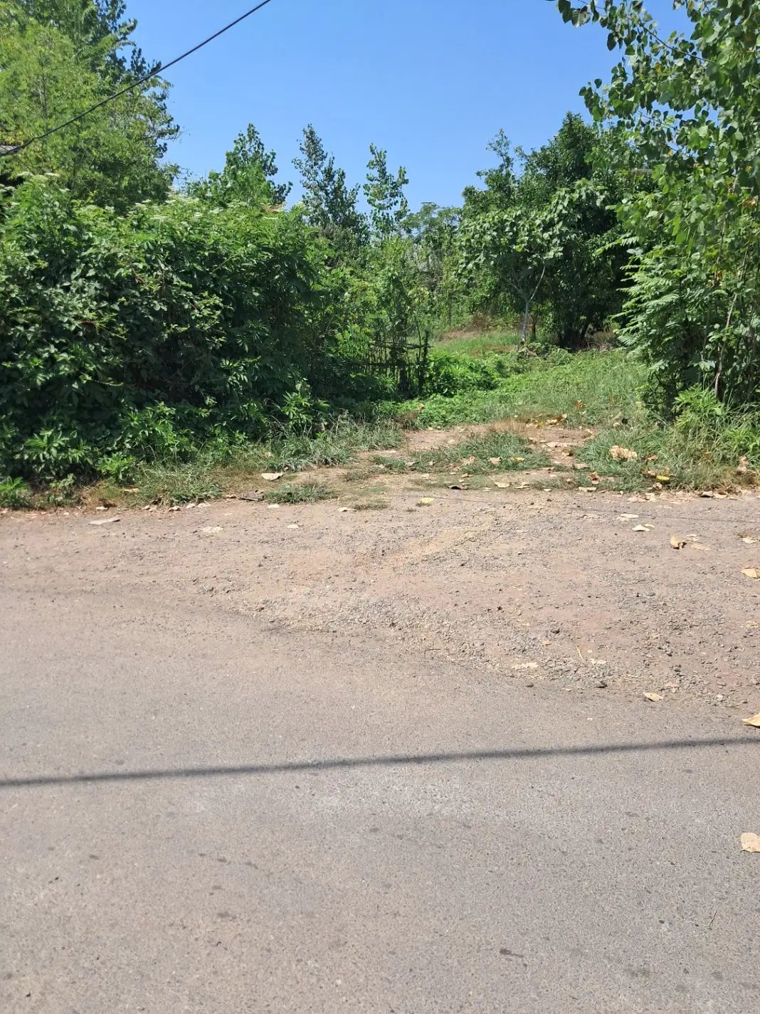 ۸۰۰ متر زمین مسکونی حوالی شهر رشت