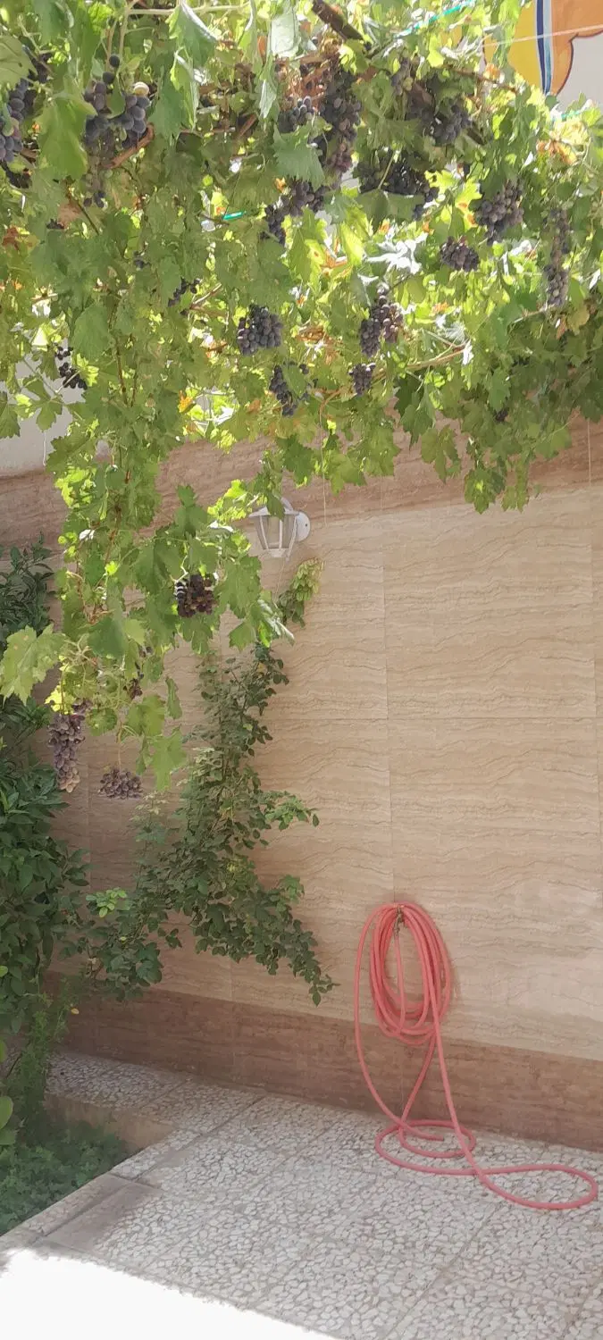 سلام منزل مسکونی دوطبقه جنوبی هر طبقه یک خواب