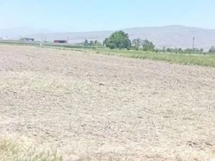 فروش زمین