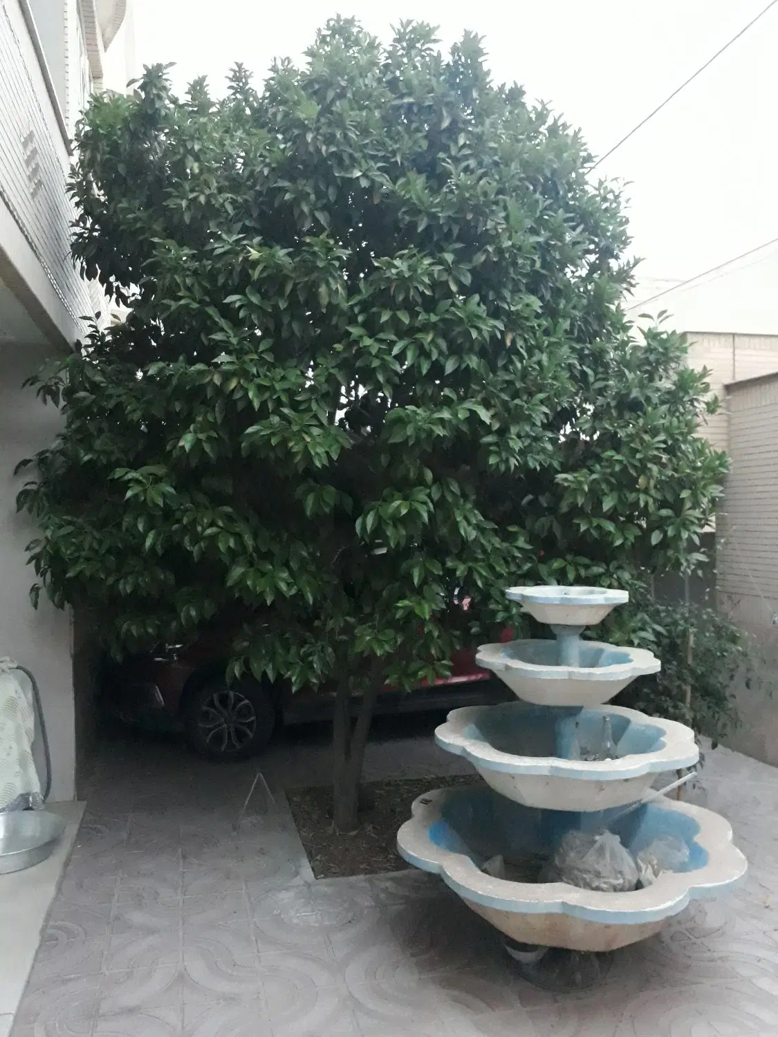 زمین۲۰×۳۵
