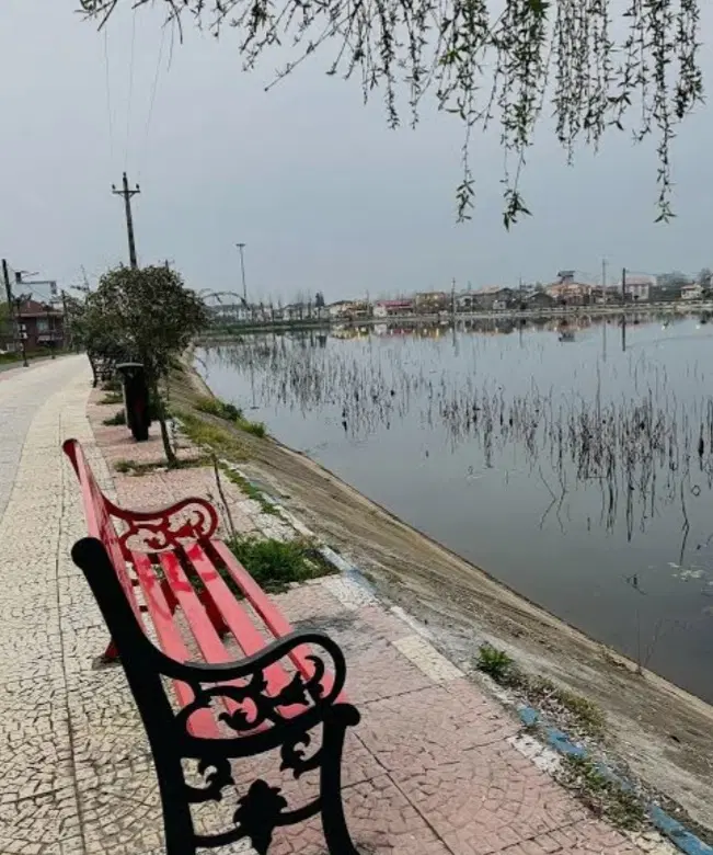 زمین مسکونی ردیف دوم استخر