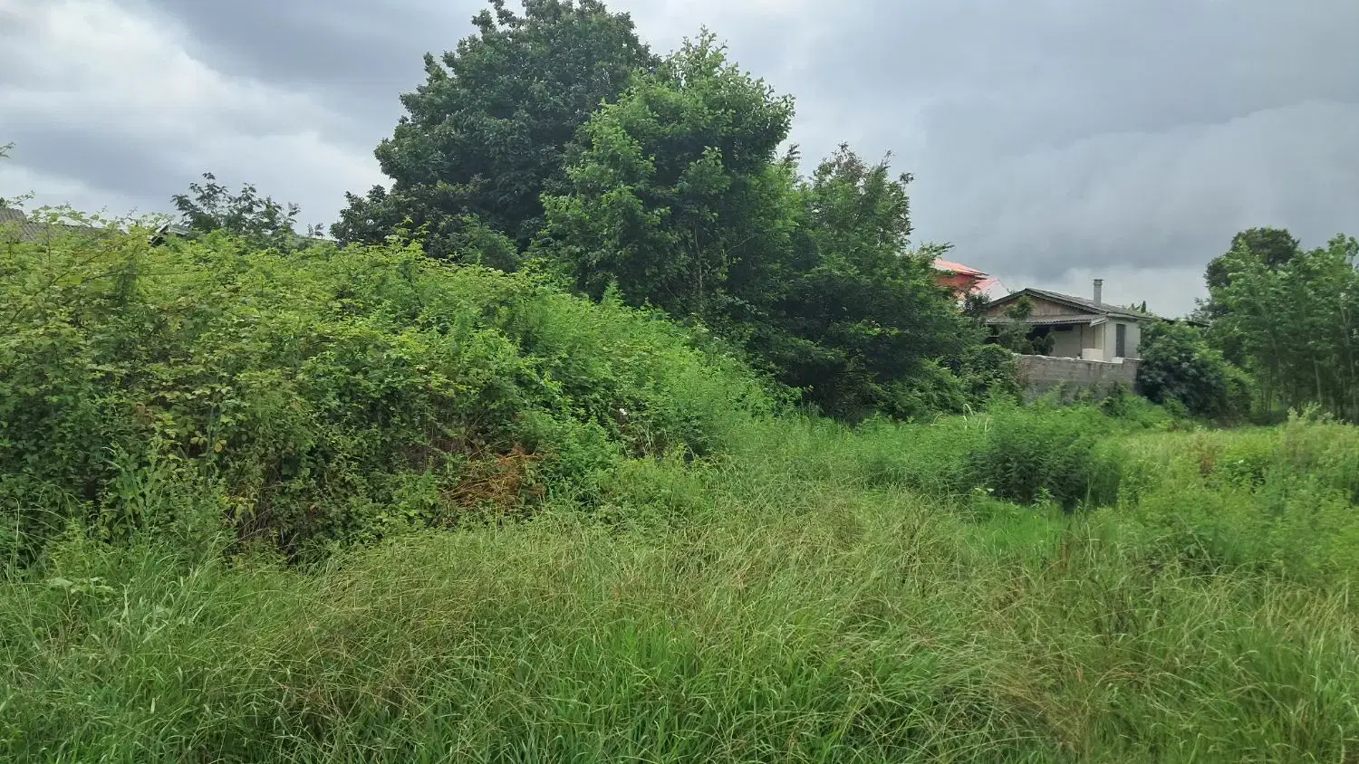زمین ۱۱۱۵ متری روستای فومن