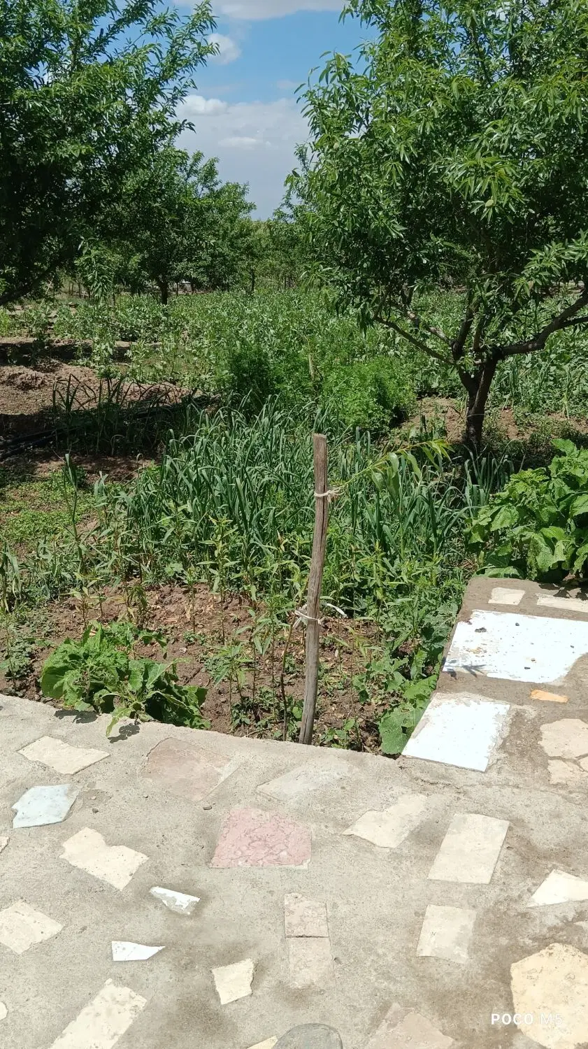 باغ ویلایی