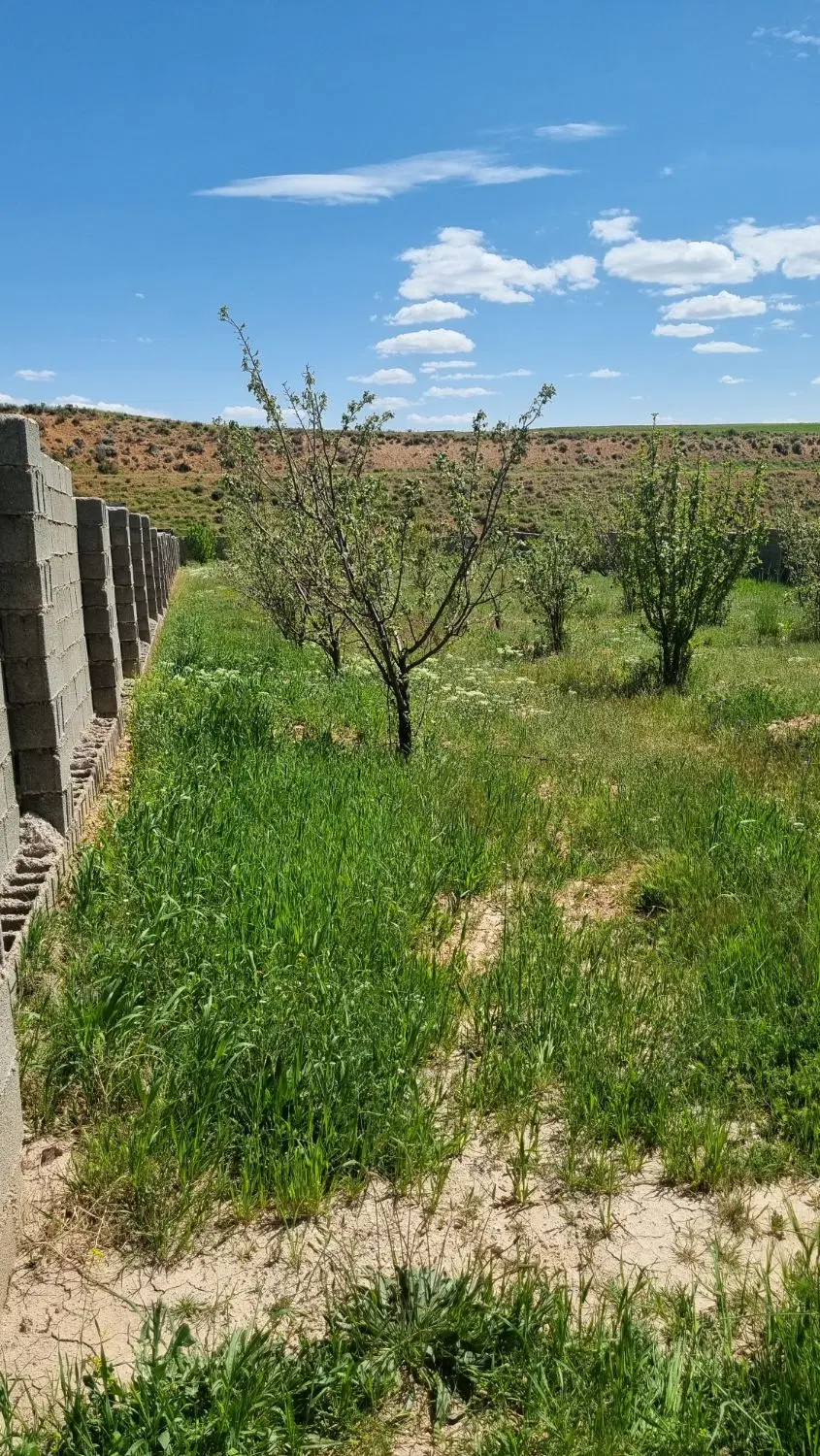 زمین کنار رودخانه
