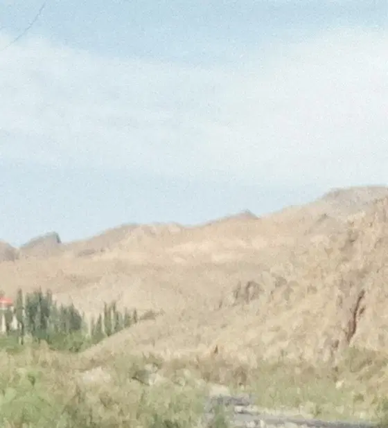 زمین کشاورزی