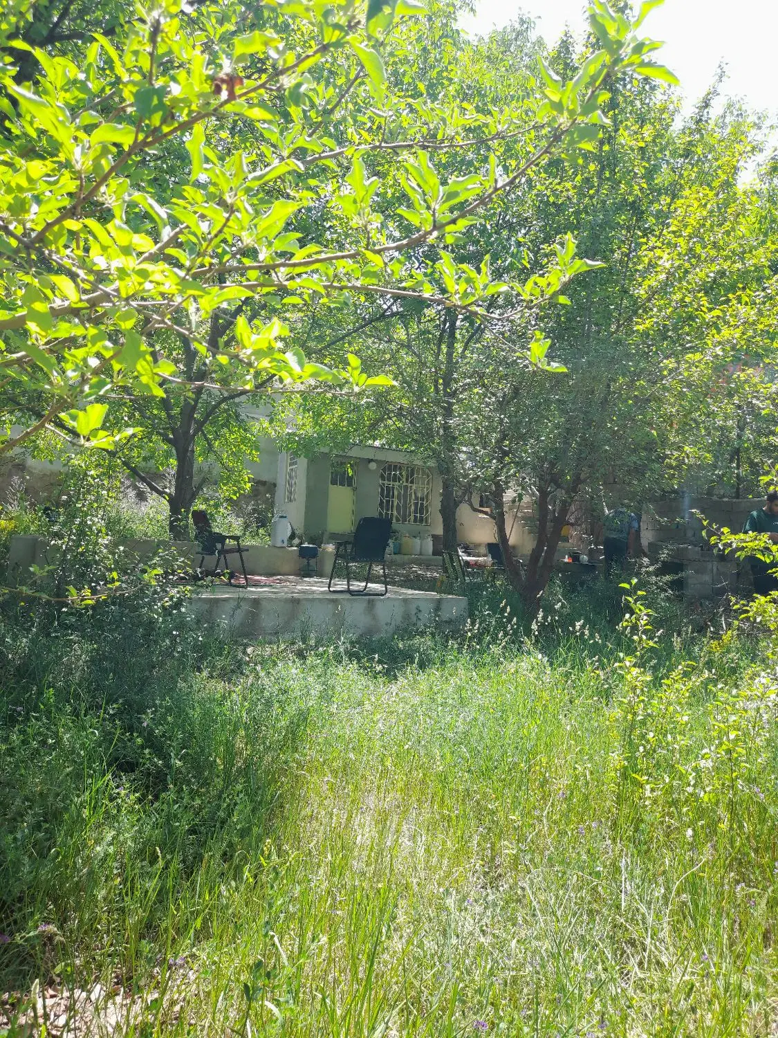 تهاتر ، معاوضه ، فروش زمین در دشت مشا قابل ساخت