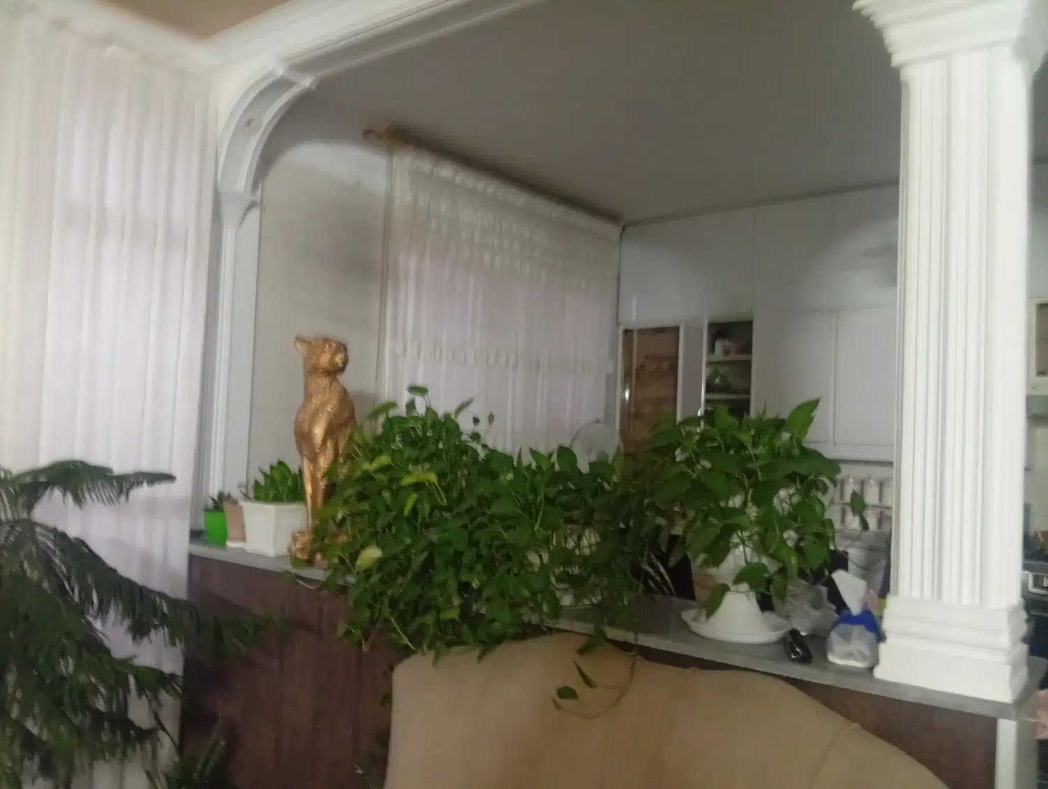 یک باب اپارتمان