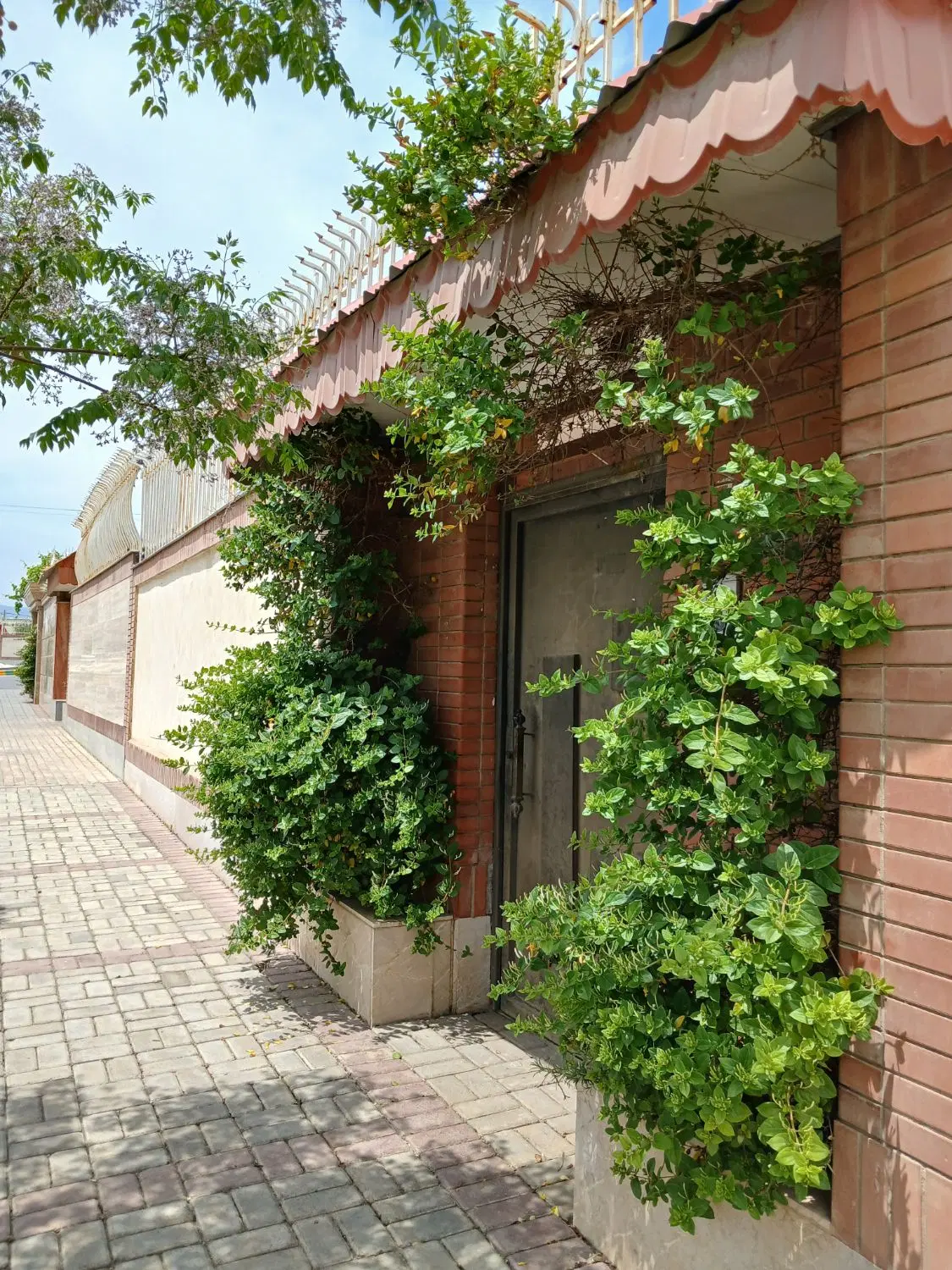 خانه۲۱۰متری گلبهارمشهدمنطقه اعیان نشین شهرهوای پاک