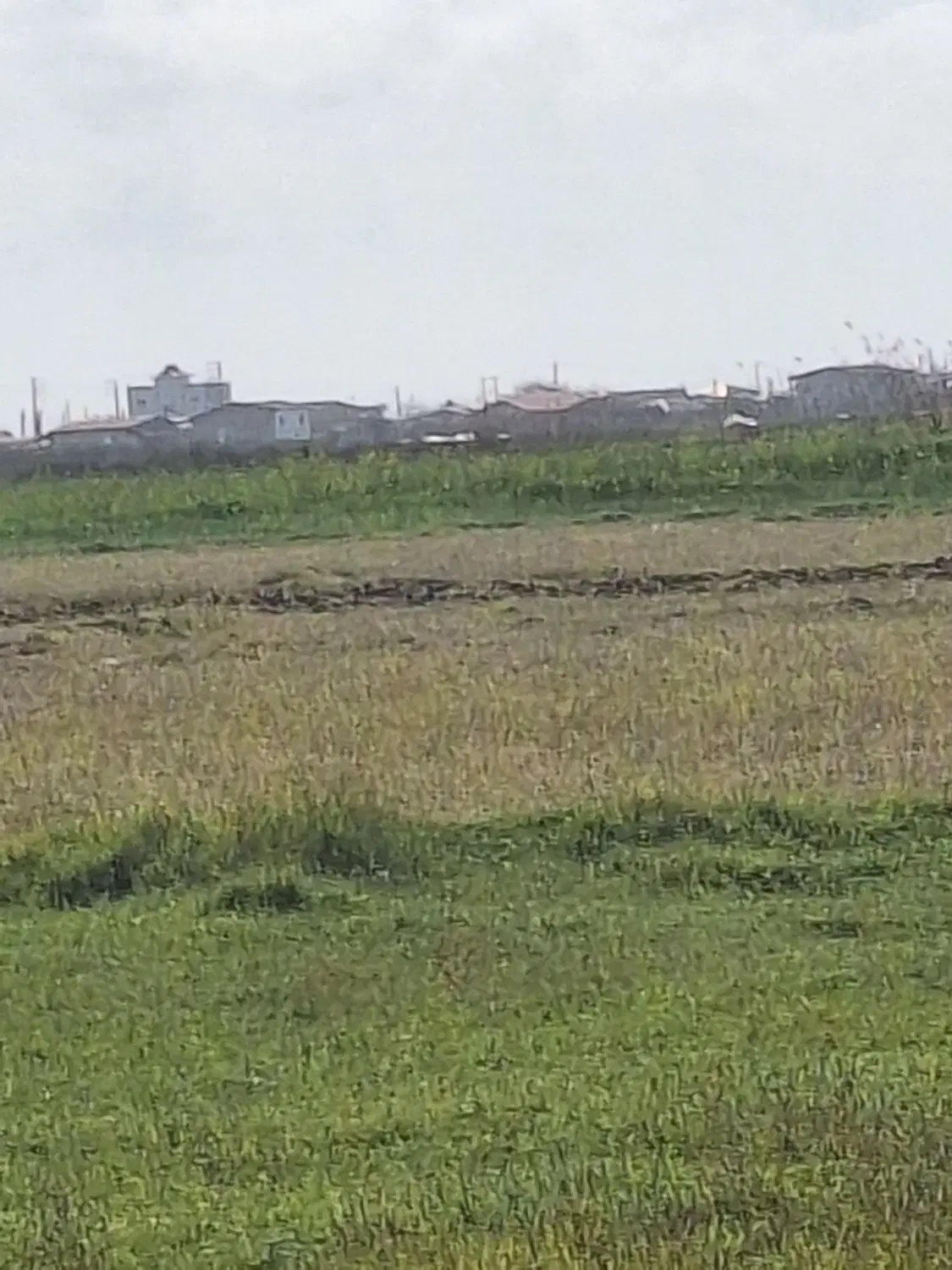 زمین سند دار