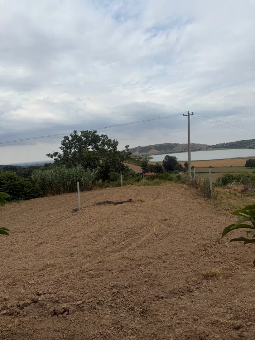 زمین باغی روستای نومل