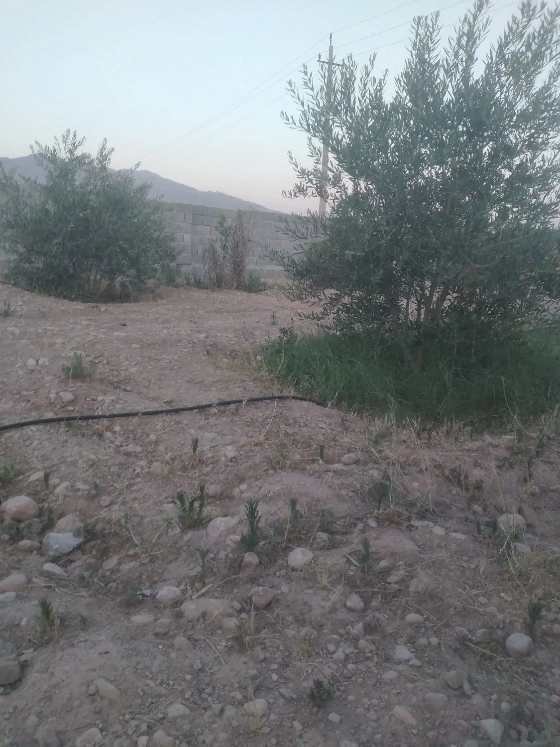 فروش باغچه قبل تر از ندیشهر