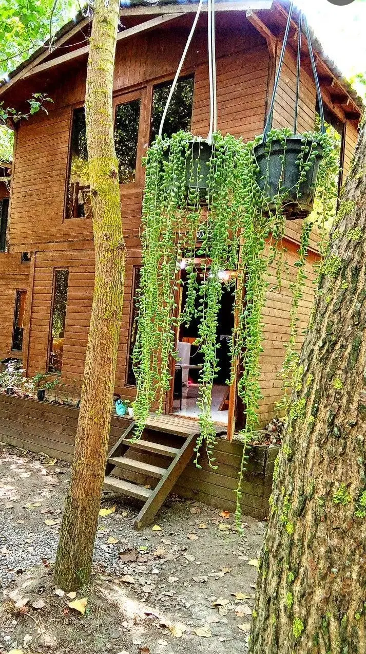 ویلا اقامتی گردشگری