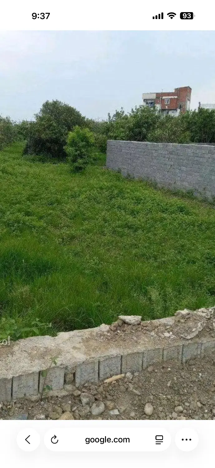 زمین