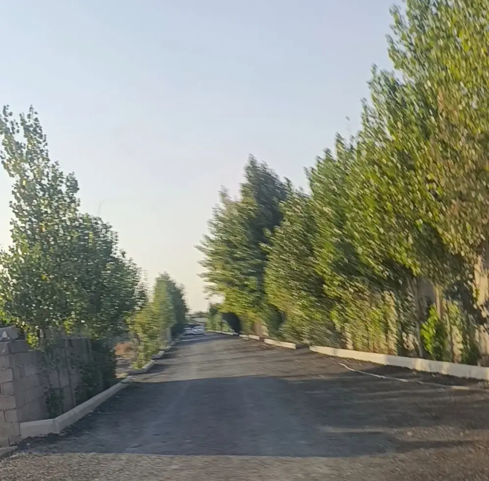 زمین 500 متری سند تک برگ خیابان جم