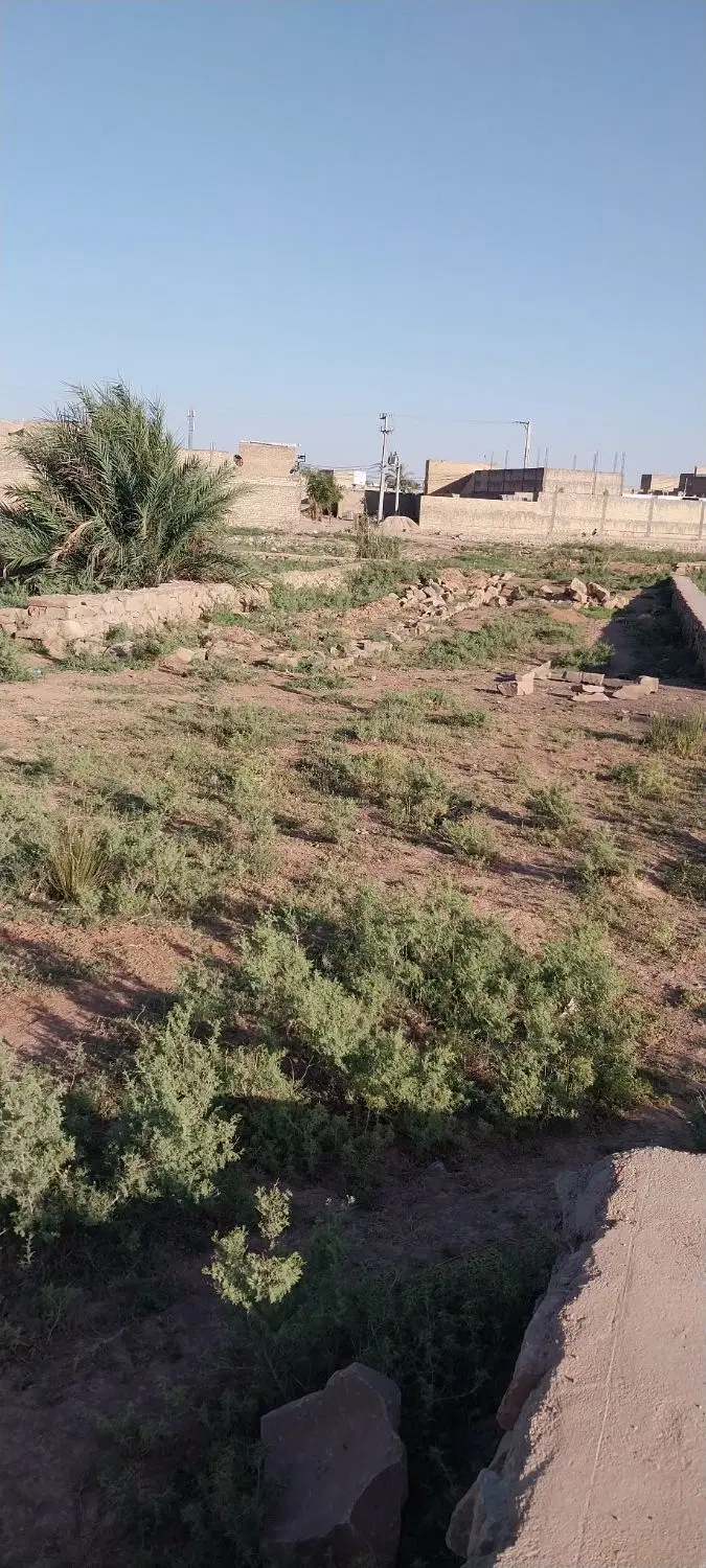 فروش زمین شیبان