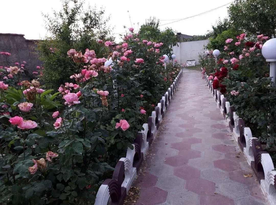 ۳۵۰متر بافت شموشک علیا ویلایی