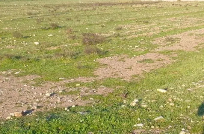 زمین ۳۵۰ متری