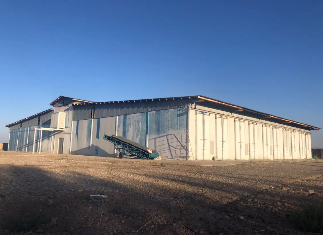 فروش_تهاتر کارخانه قارچ دکمه ای