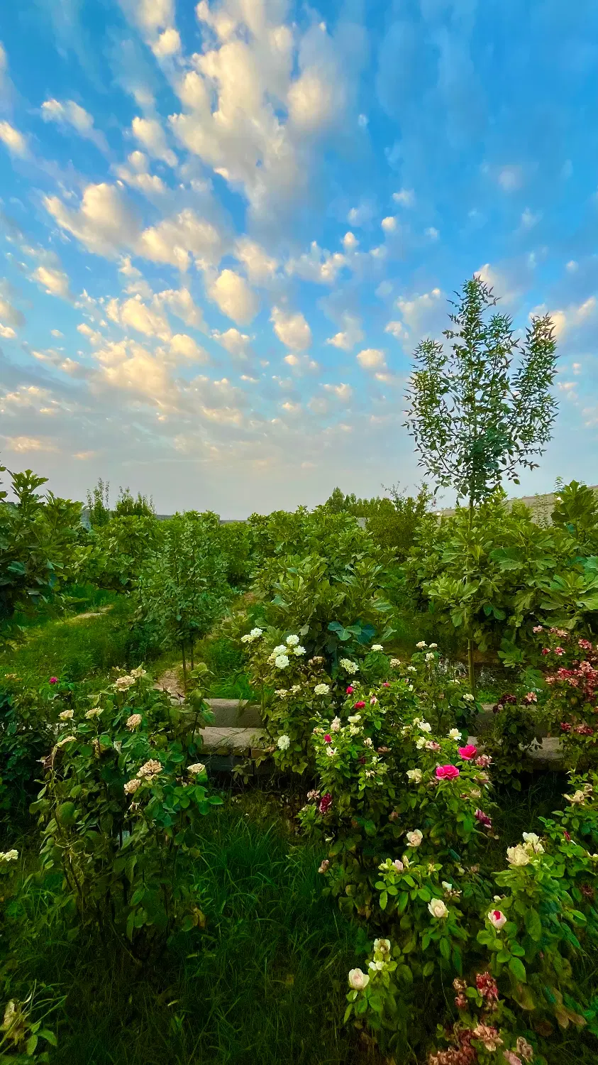 خانه باغ در گرمسار ۱۰۰ کیلومتری تهران
