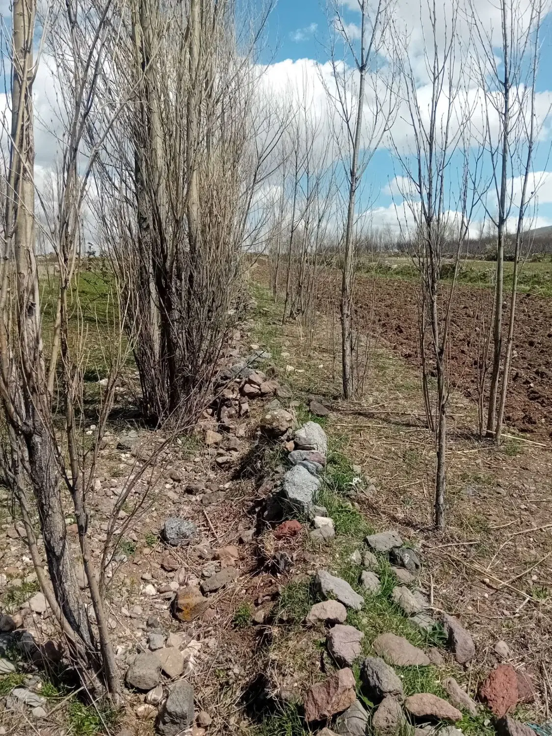 فروش زمین در روستای عور
