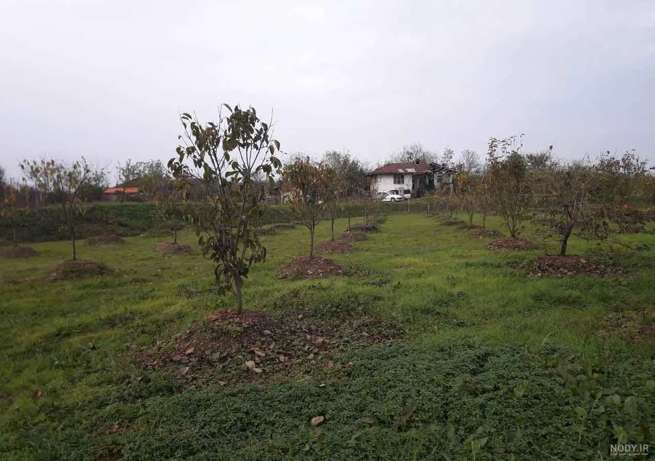 فروش زمین در پستک گلسار