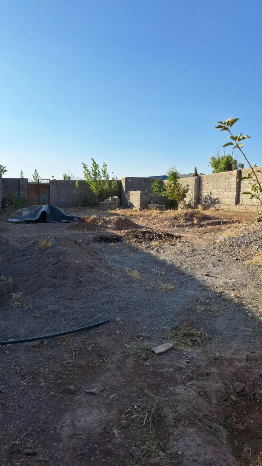 باغ۲۴ قصبی ده بالا سند تک برگ