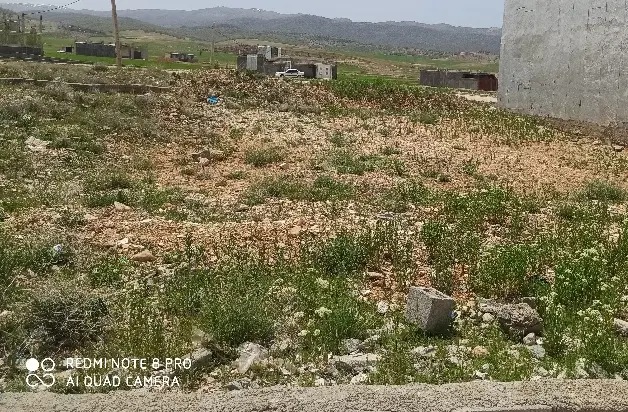 زمین جنب ورزشگاه پارس
