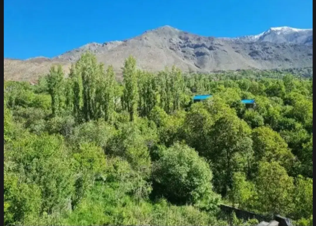 باغ ویلا