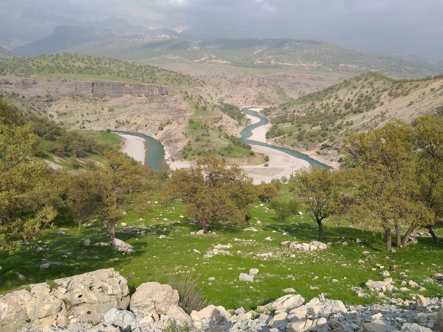 زمین