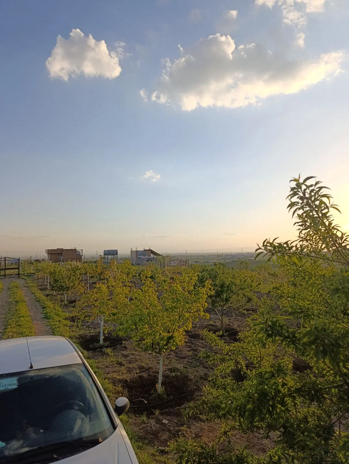 باغ ویلا