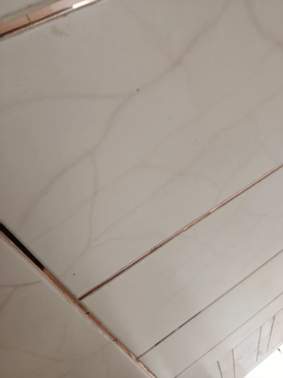 اجاره مغازه
