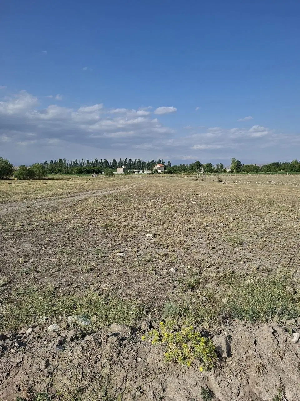 زمین برای ساخت سازملک مشگین شهرروستای ده ده بیگلو