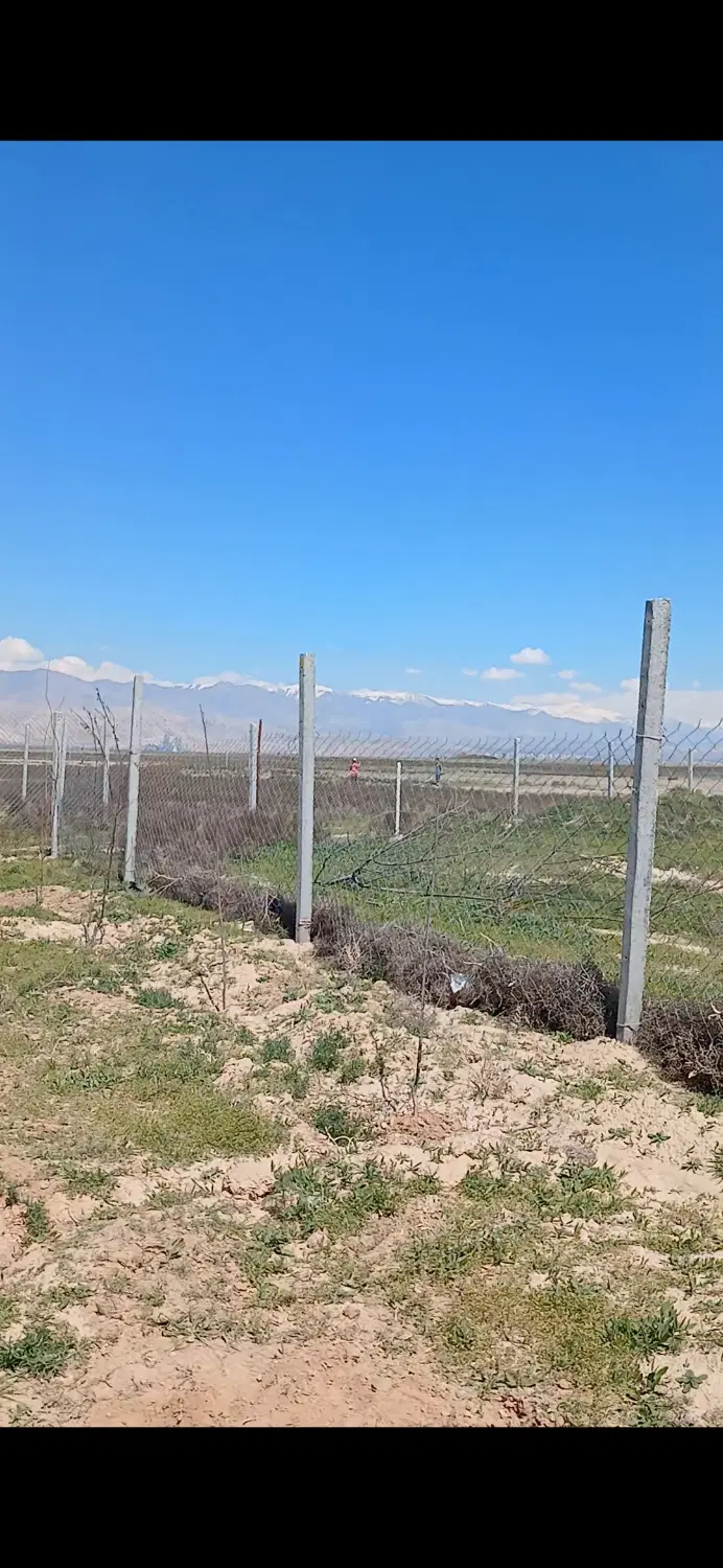 ۱۲۰۰ متر زمین برای باغچه