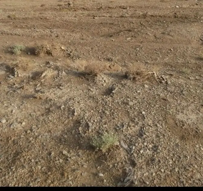 زمین امام جعفر