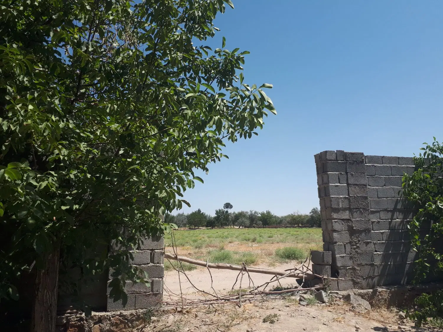 باغ ویلایی