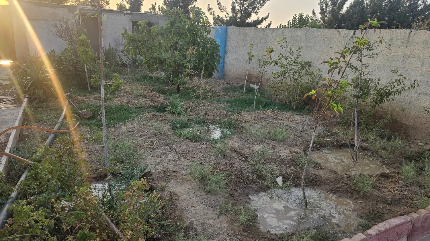 باغ چهار دیواری