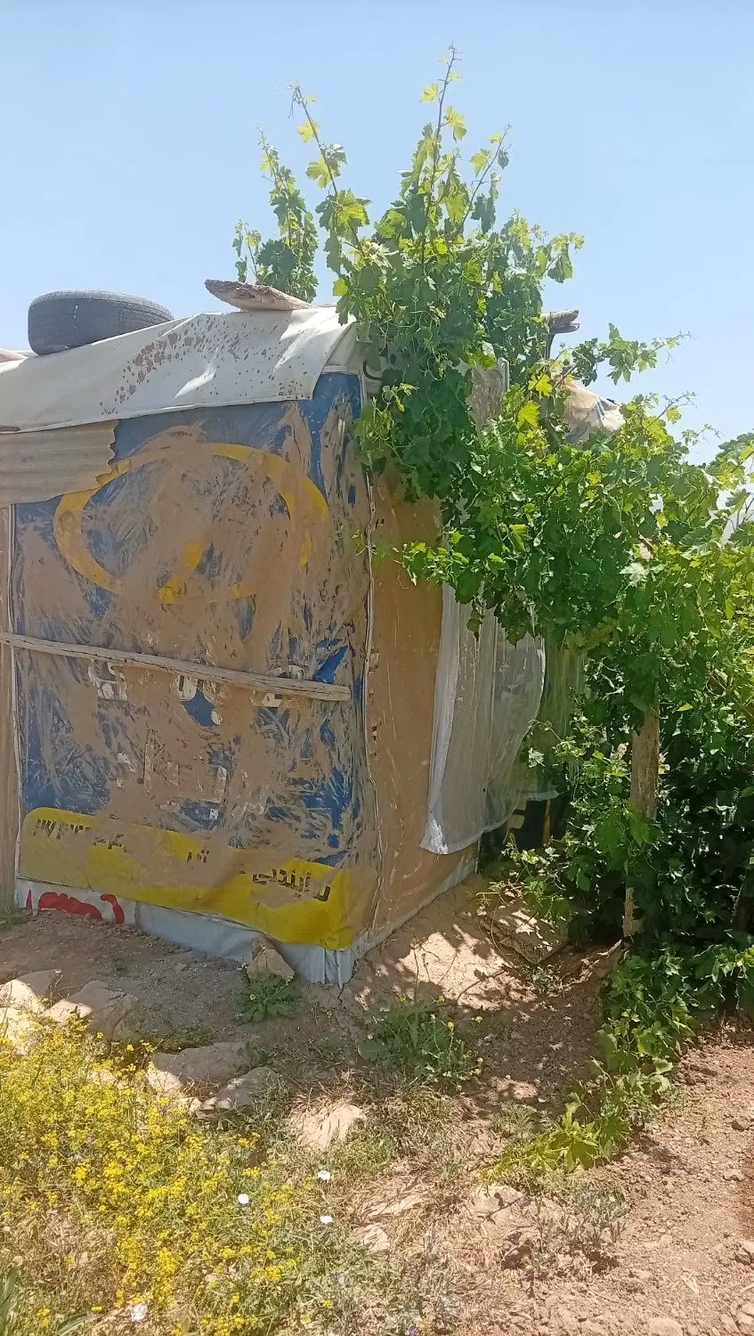 باغ و زمین کشاورزی