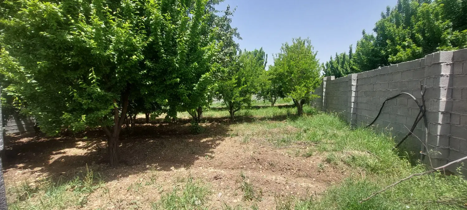 زمین ۸۰۰۰ متری باغشهرهماشهر سربست دالین
