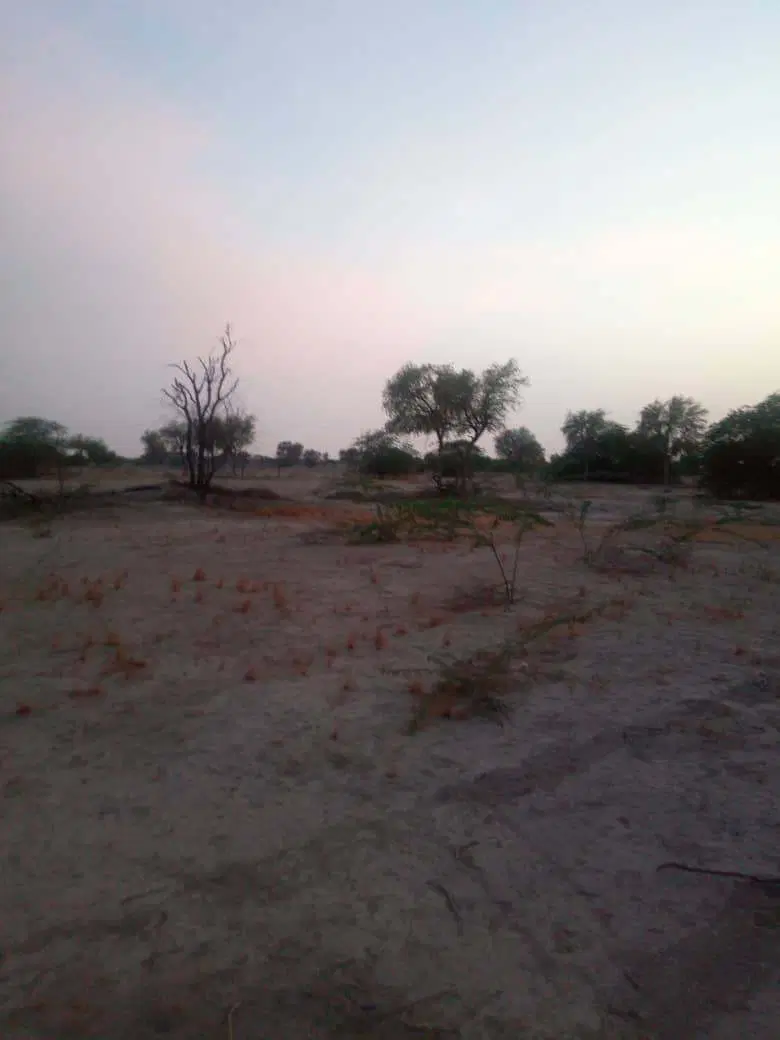 زمین جلابی