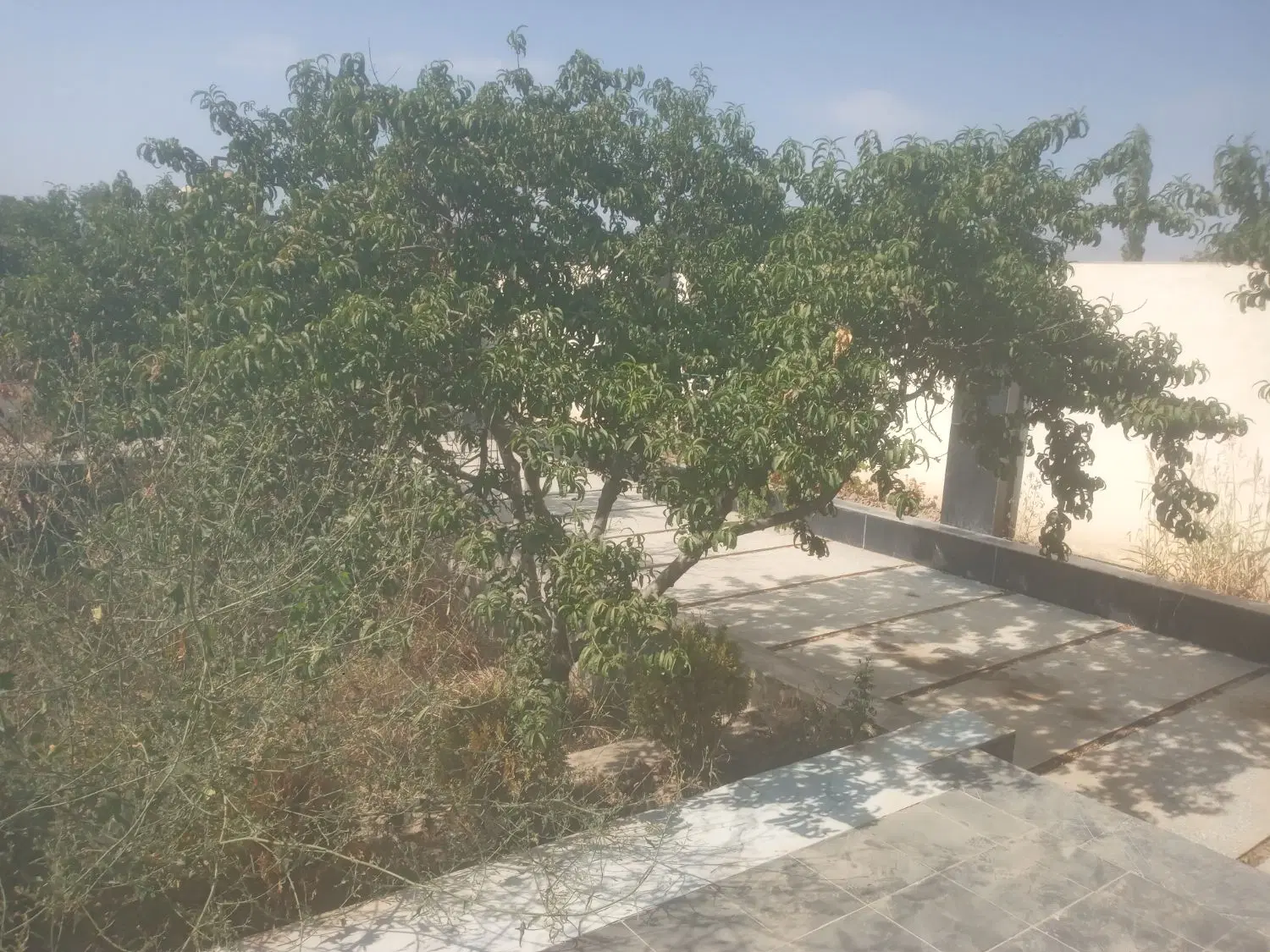 اجاره روزانه ویلا