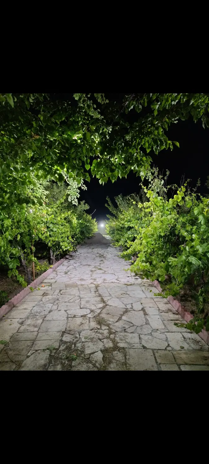 باغ باغچه ویلا حصار ترکمان
